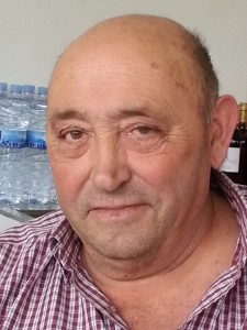 Histórico labrador de Benifaió